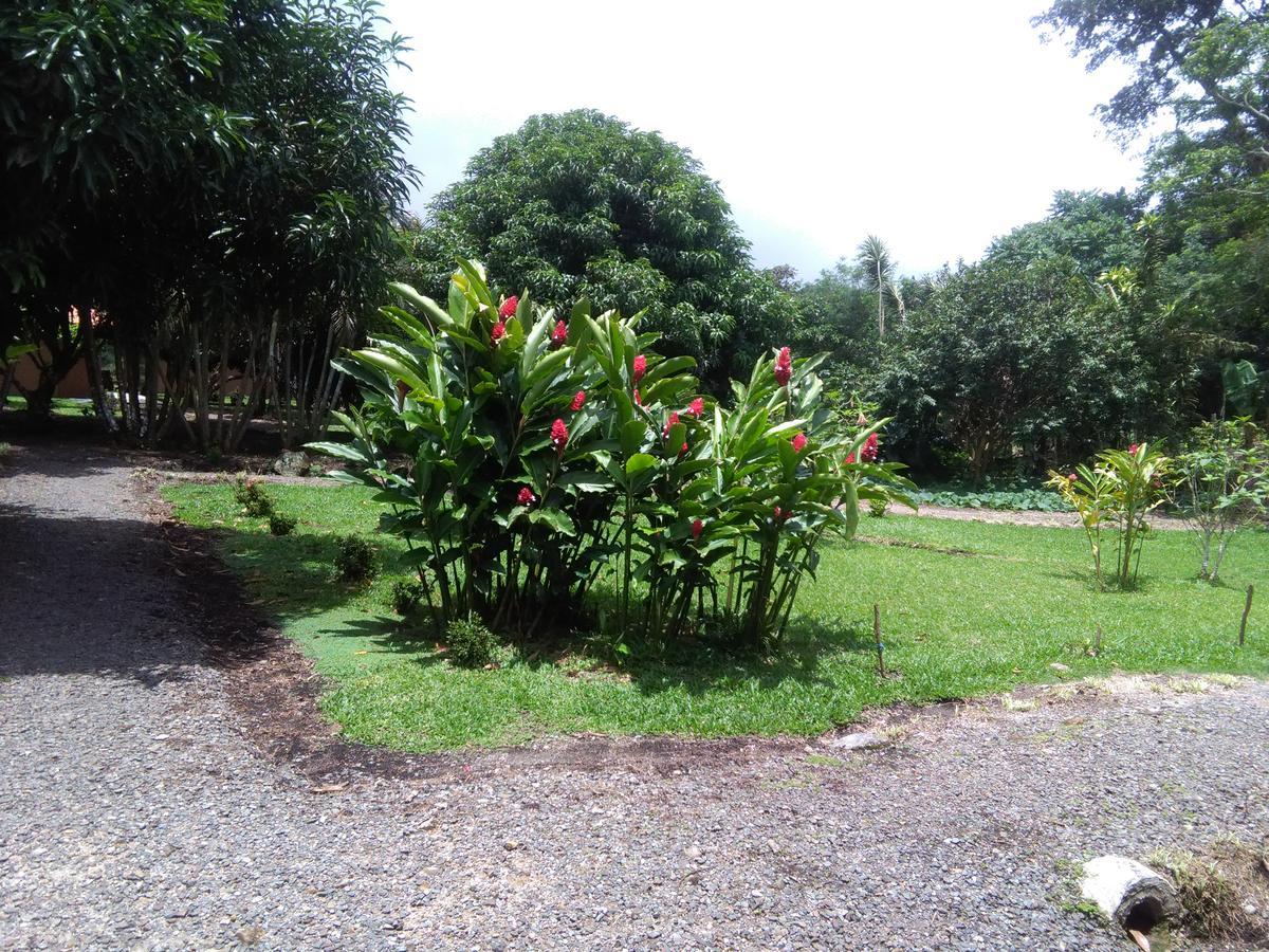 Paraiso Volcano Lodge Guayabo  외부 사진