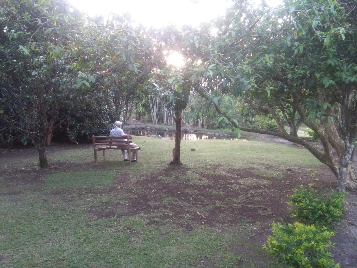 Paraiso Volcano Lodge Guayabo  외부 사진